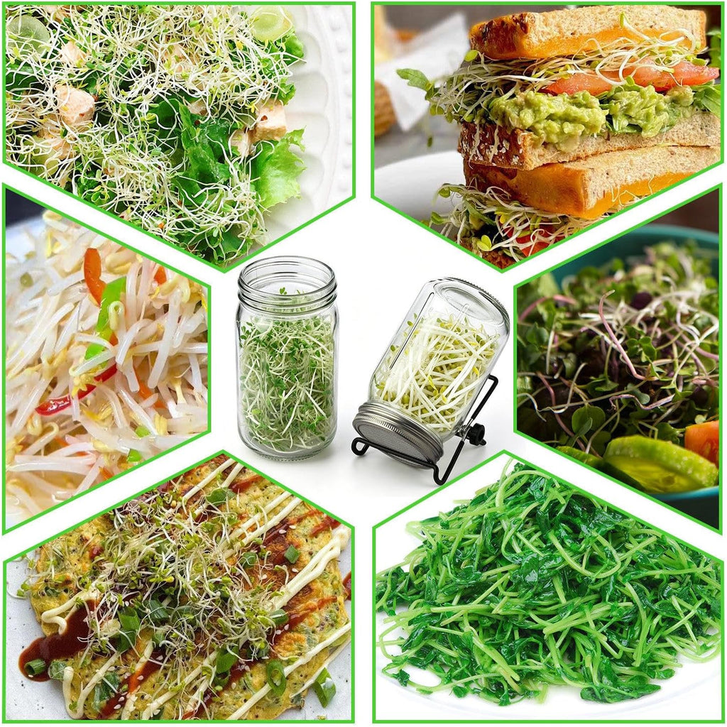 Sprouting Jar Kit 4 PCS 1000ml(35oz) Wide Mouth Mason Jars with 304 Stainless Steel Sprout Lids Drain Tray Stainless