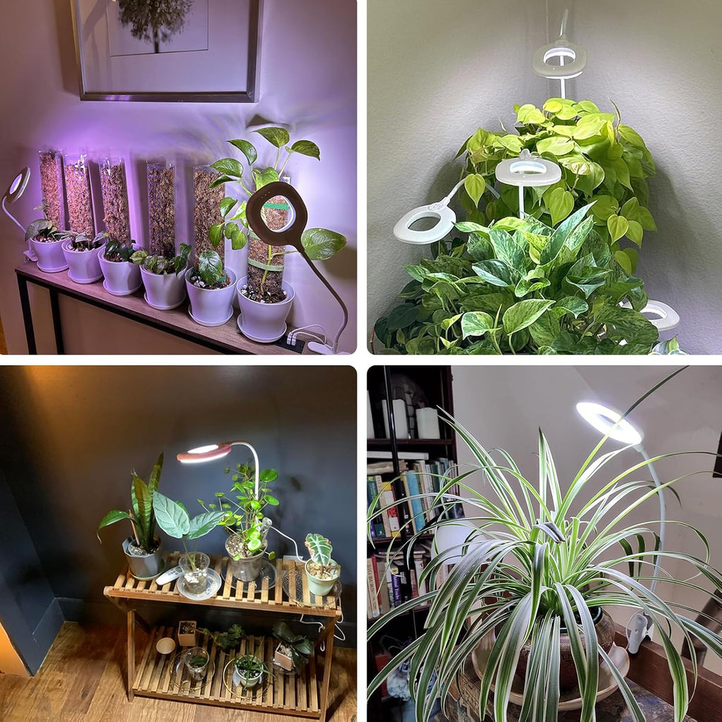 2 Packs Plant Growing Lamp, LED Pot Clip-on Plant Light for Growing | Full Spectrum Plant Light with Remote, 4/8/12H