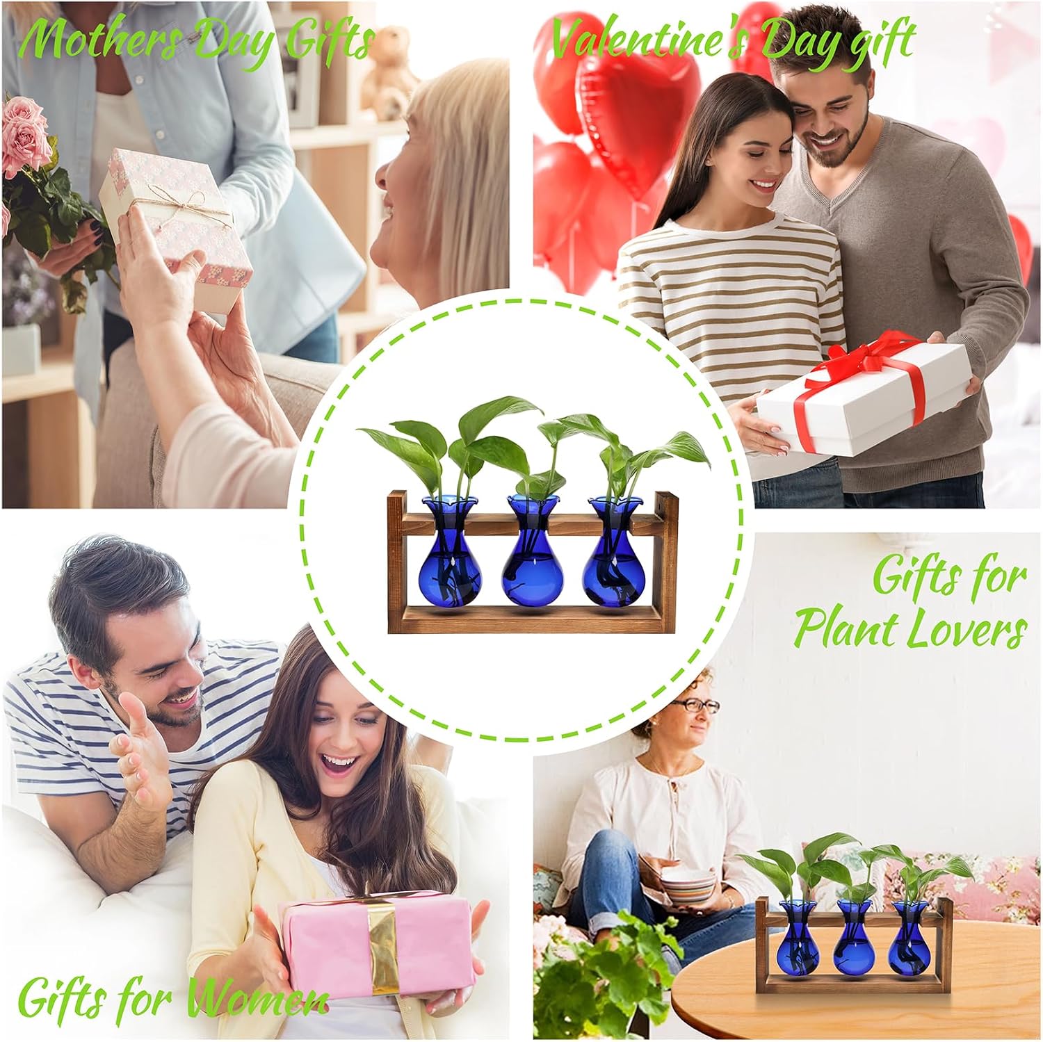 Plant Propagation Station Plant Terrarium Unique Birthday Gifts for Women | Plant Lovers Home Office Decor Planter with