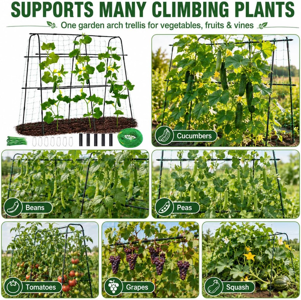 63x63 Cucumber Trellis for Raised Garden Bed, Black | Adjustable Garden Arch Trellis for Climbing Plants Outdoor, Metal