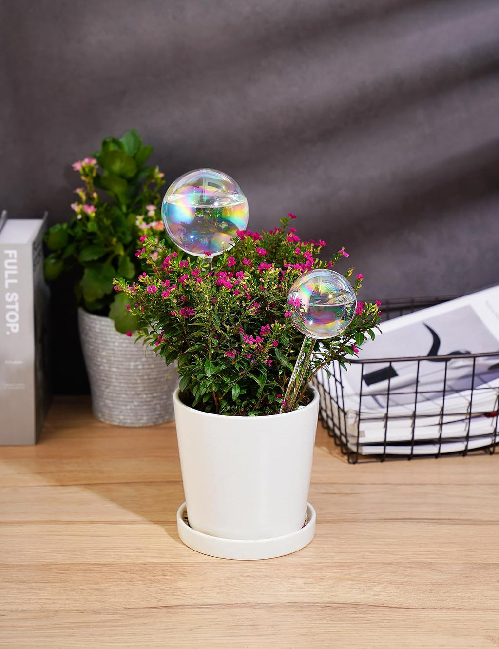 Tomorotec Glass Plant Watering Globes, Self Watering Spikes 2 Large+2 Small | Handcrafted Automatic Irrigation Spikes