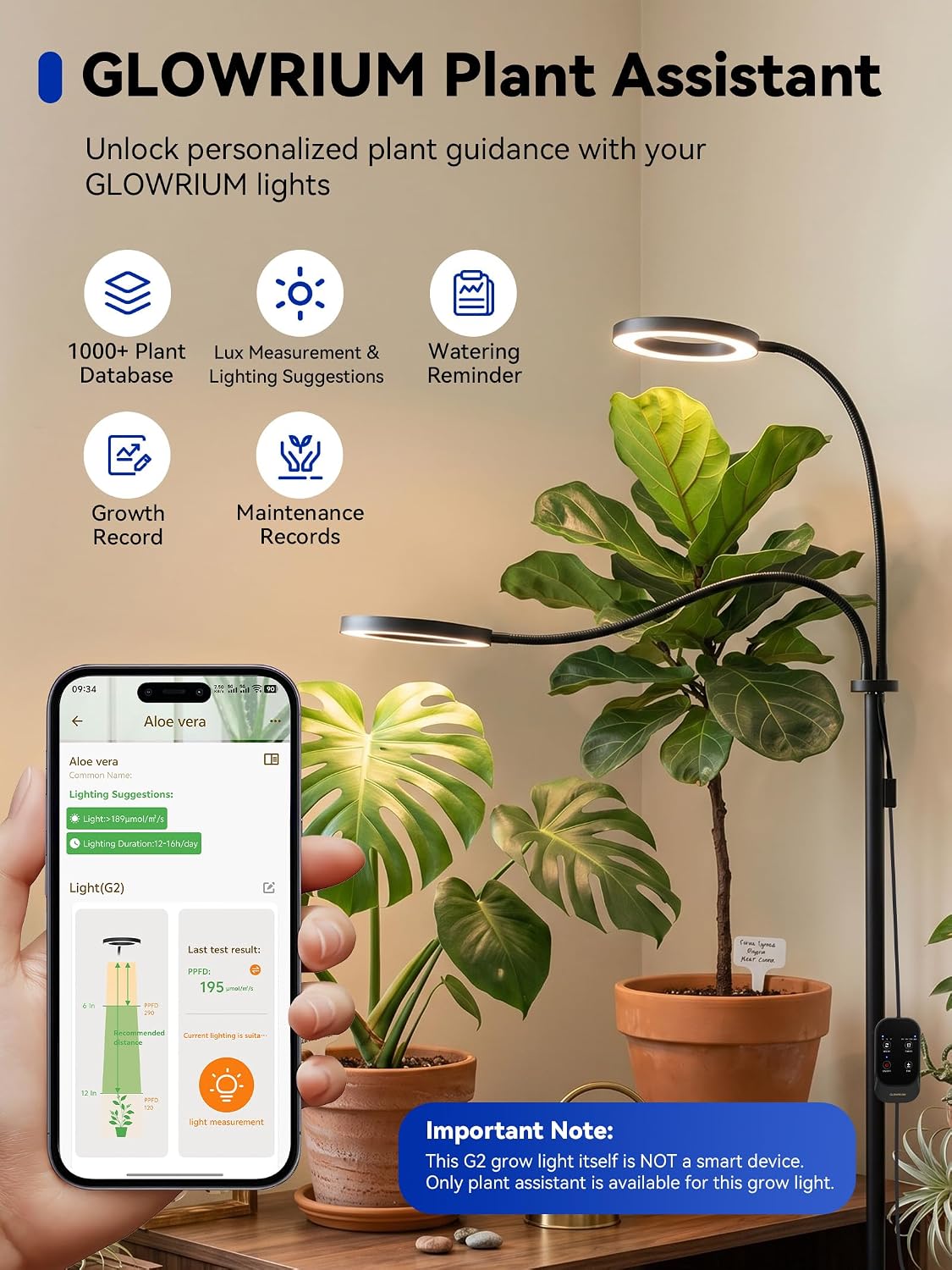 Grow Lights for Indoor Plants,Full Spectrum Plant Light with Stand | 36W Floor Grow Light with Adjustable Height