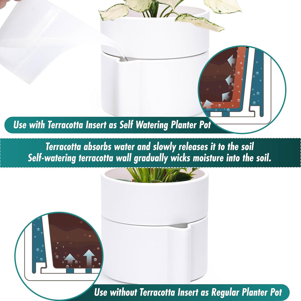 Phoenix Vine 8 Inch Self-Watering Planter Pot with Terracotta Insert, Deep Water Reservoir, and Ceramic-Alike BPA-Free