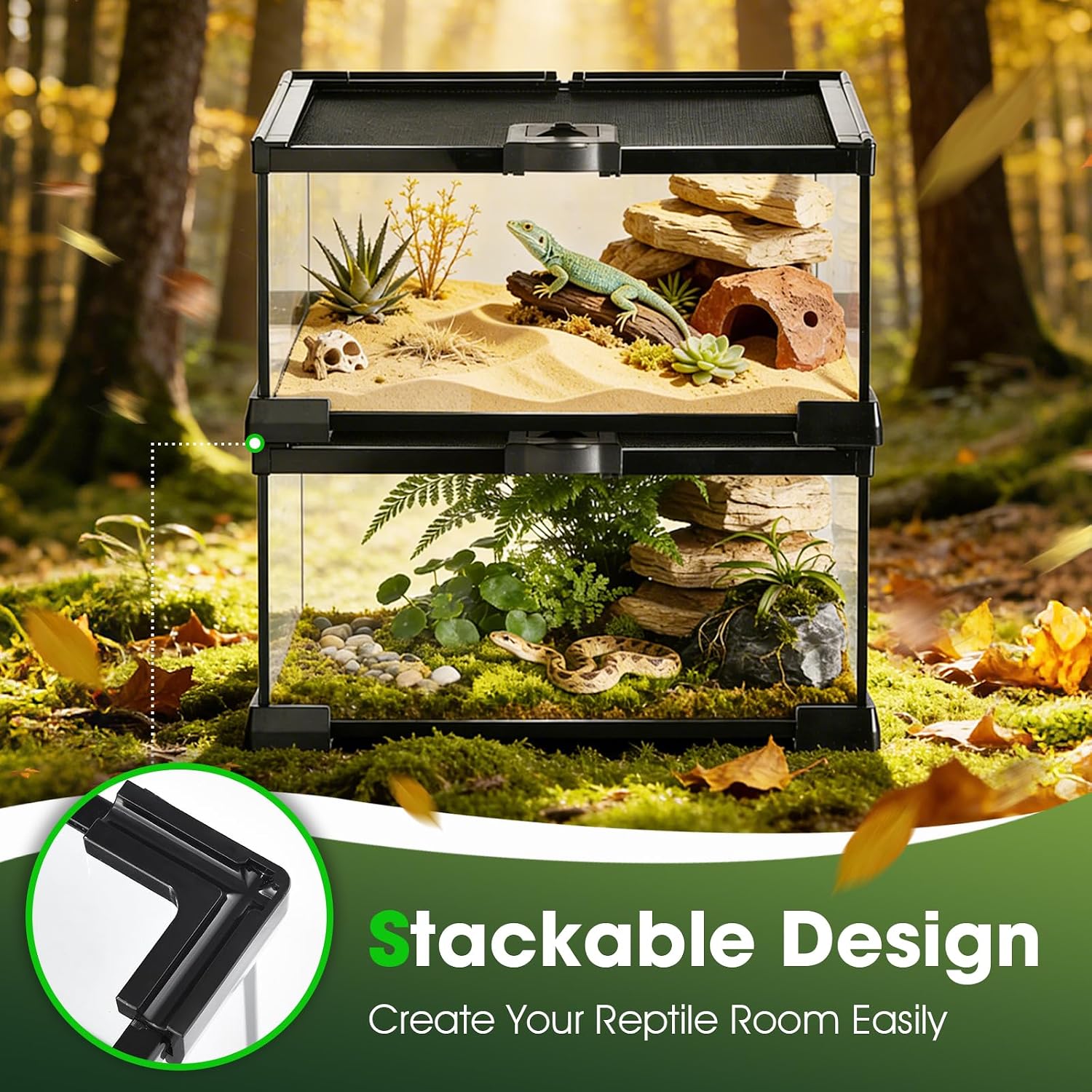 Reptile Terrarium Glass Kit 12" x 8" x 6" Starter Habitat for Tarantula, Succulents, Frogs, or Hermit Crabs, Tank with