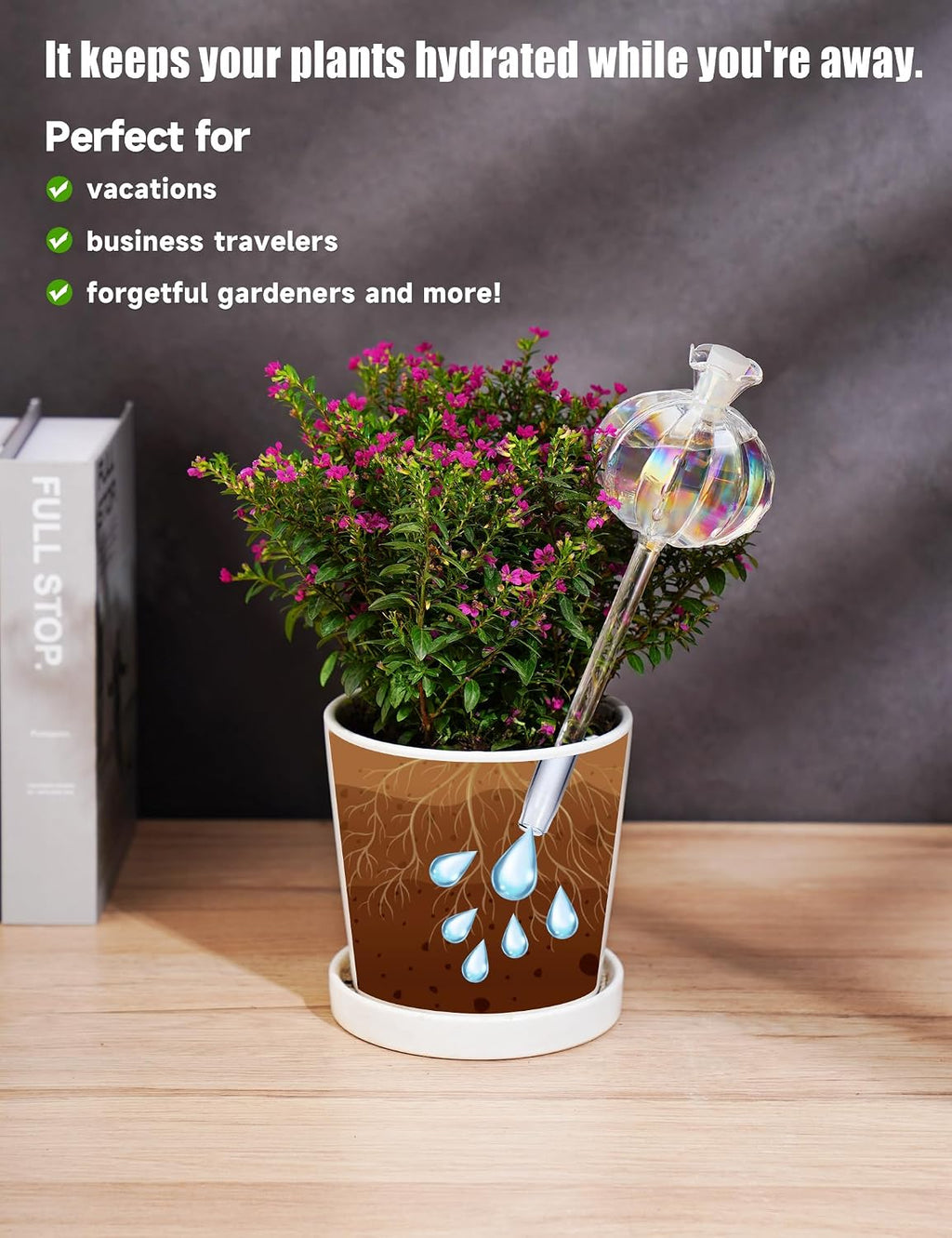 NiHome Cactus-Shaped Glass Plant Self-Watering Globes 6-Pack, Glass Waterer Stakes for Potted Plants, Automatic Mini