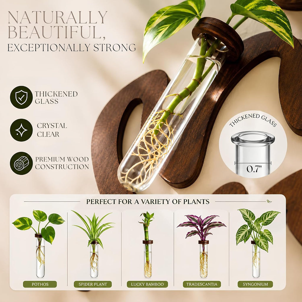 Leaf-Shaped Plant Hanging Propagation Stations with 6 Glass Vases & 1 Spare | Terrarium for Plants w/ Strengthened