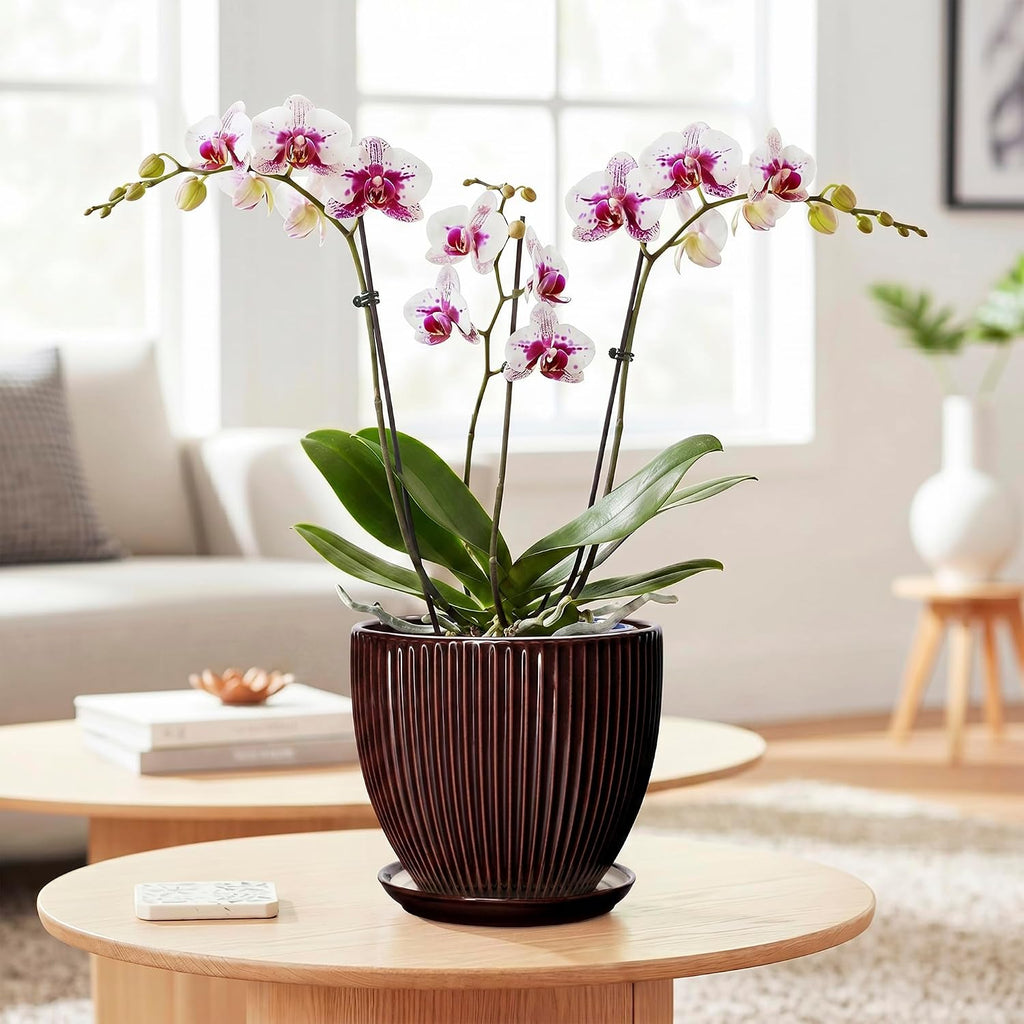 6 Inch Planter, Ceramic Plant Pots Indoor with Drainage Hole and Saucer, Round Flower Orchid Pots for Indoor Plants