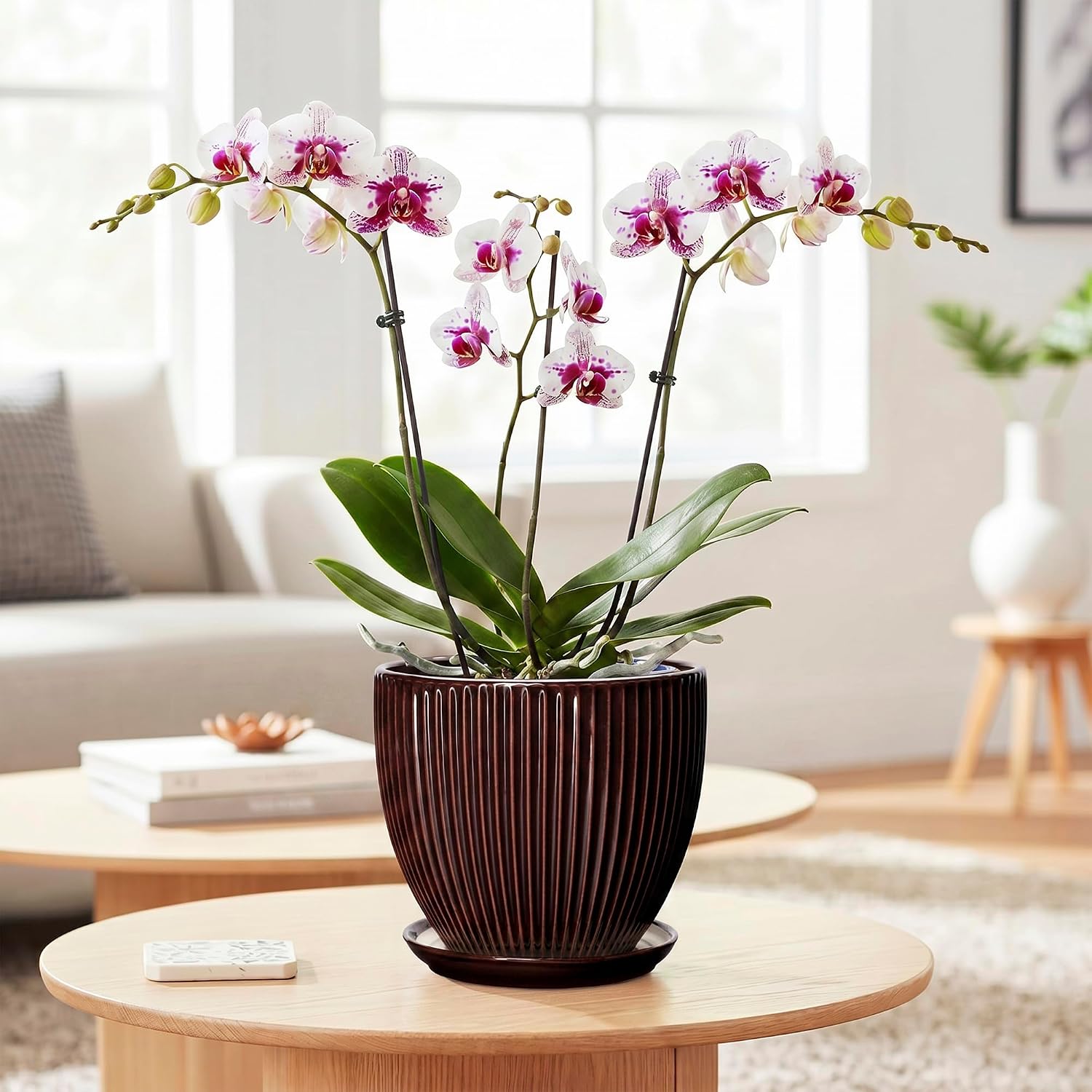 6 Inch Planter, Ceramic Plant Pots Indoor with Drainage Hole and Saucer, Round Flower Orchid Pots for Indoor Plants