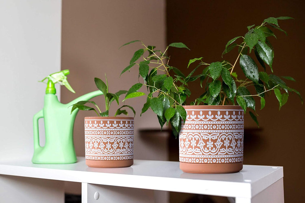D'vine Dev 2-Pack Terracotta Pots, 4/6 in, Terra/White, 31-958-F-1 | Hand-Painted Pattern, Natural Clay Texture