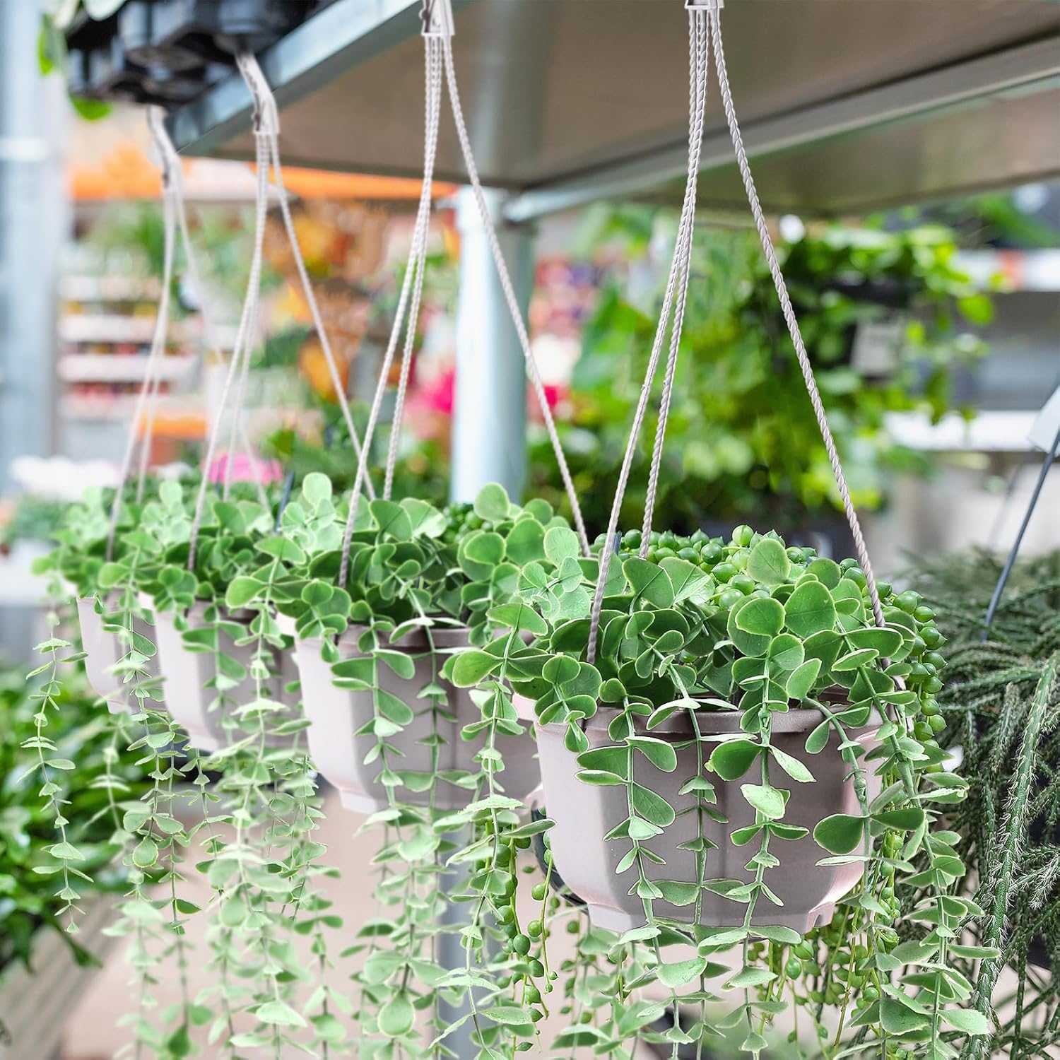 Roshtia 50 Pcs 6.7 Inch Plastic Hanging Plant Pots with Hooks Flower Pots Baskets Outdoor Hanging Nursery Planter