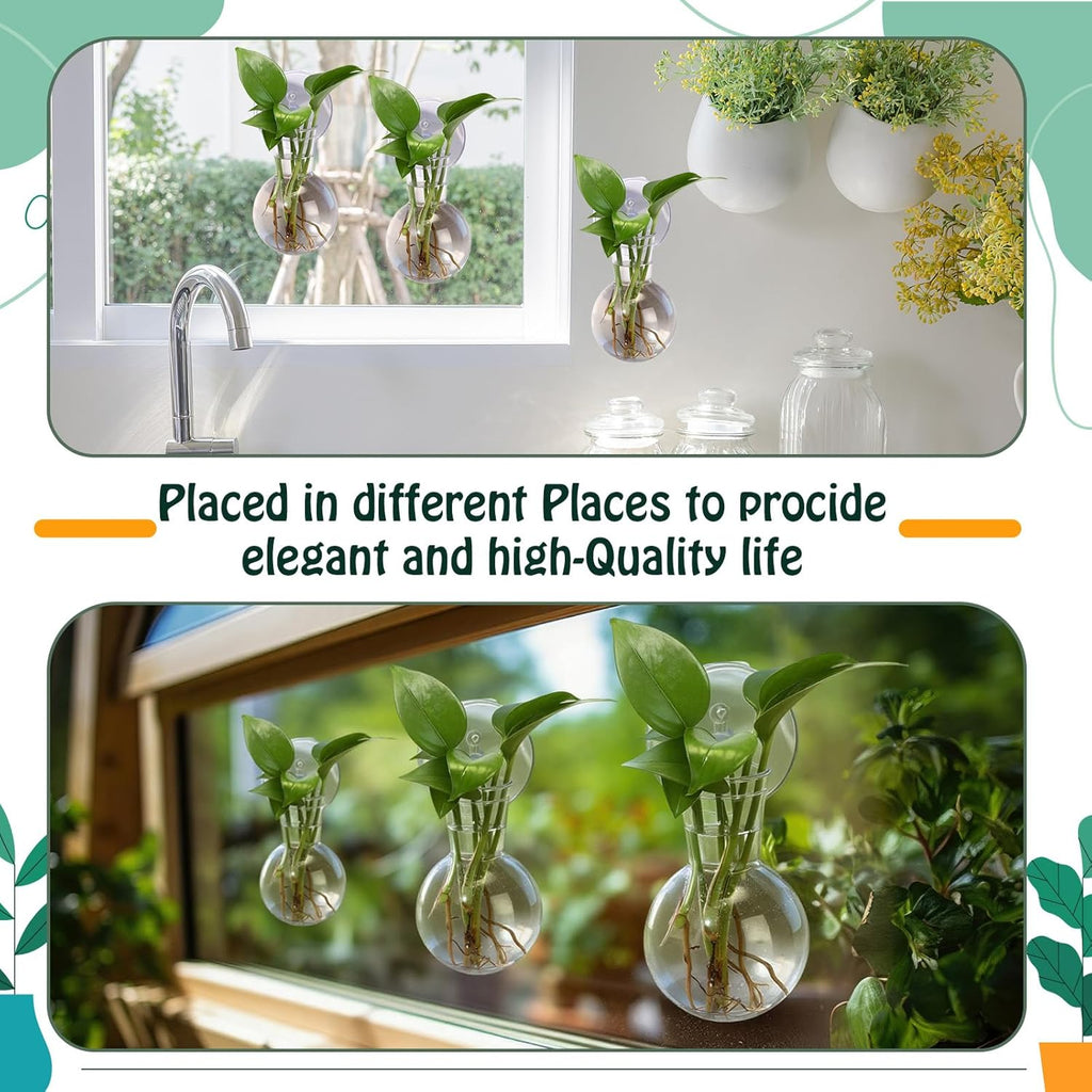 12 Pack Window Propagation Stations Plastic Wall Hanging Planter with Suction Cups Brush Window Suction Plant Holder