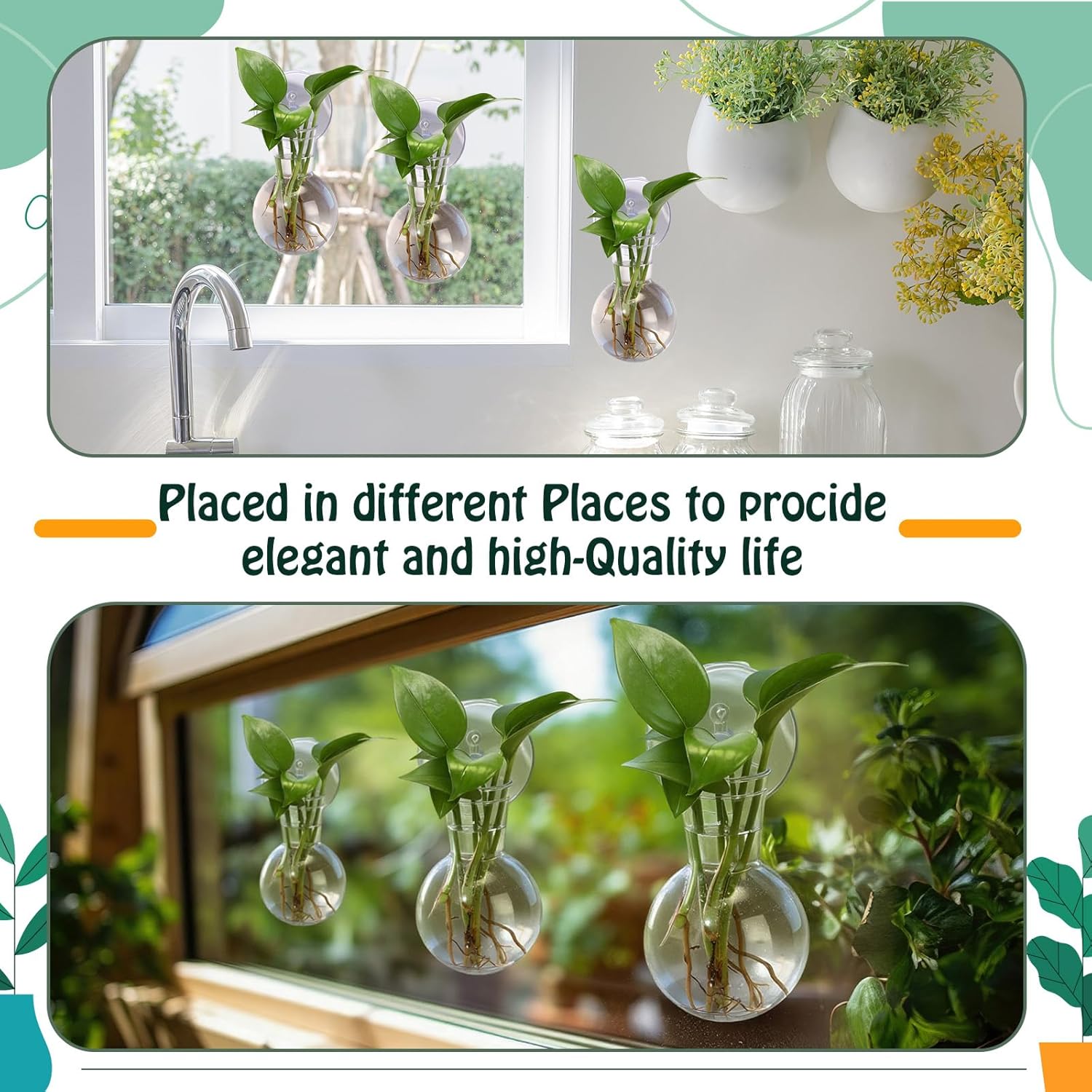 12 Pack Window Propagation Stations Plastic Wall Hanging Planter with Suction Cups Brush Window Suction Plant Holder