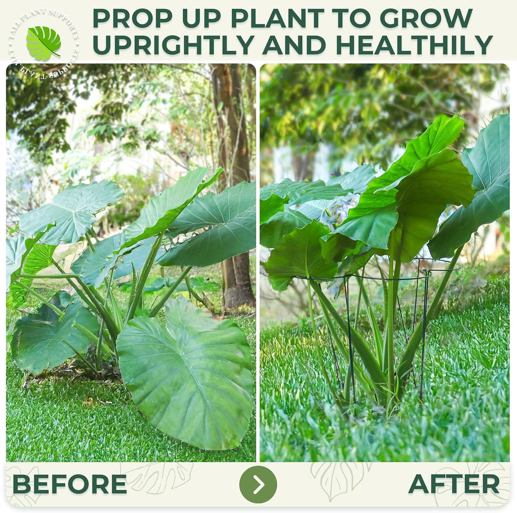 LEOBRO Plant Support, 8 PCS Peony Cages and Supports, Metal Plant Stakes, Plant Supports for Indoor Plants, Outdoor