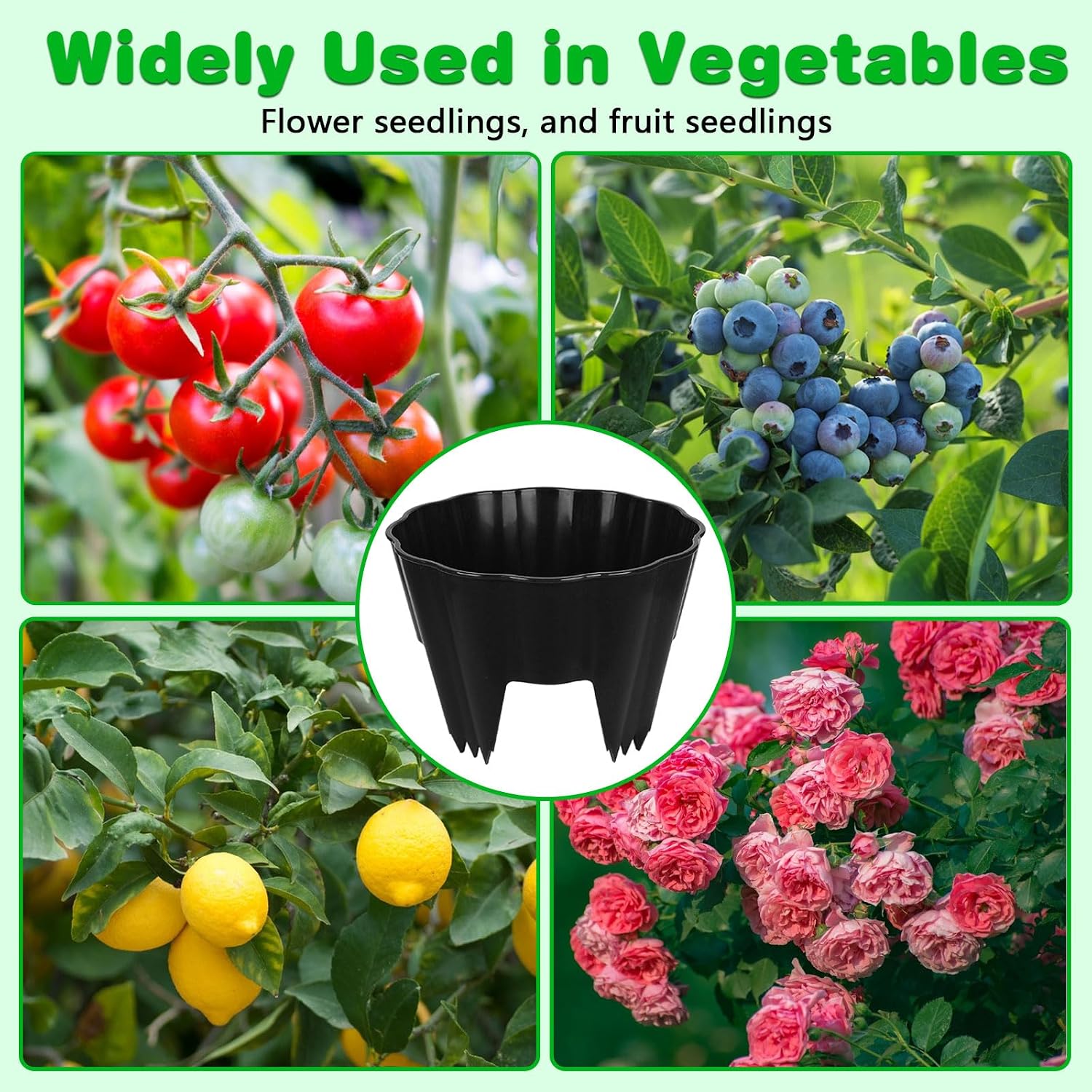 3 Pack of 12 Inch Planting Grow Rings, Planting Protective Round Garden Edging, Keeping Plants Separated, Weed Control