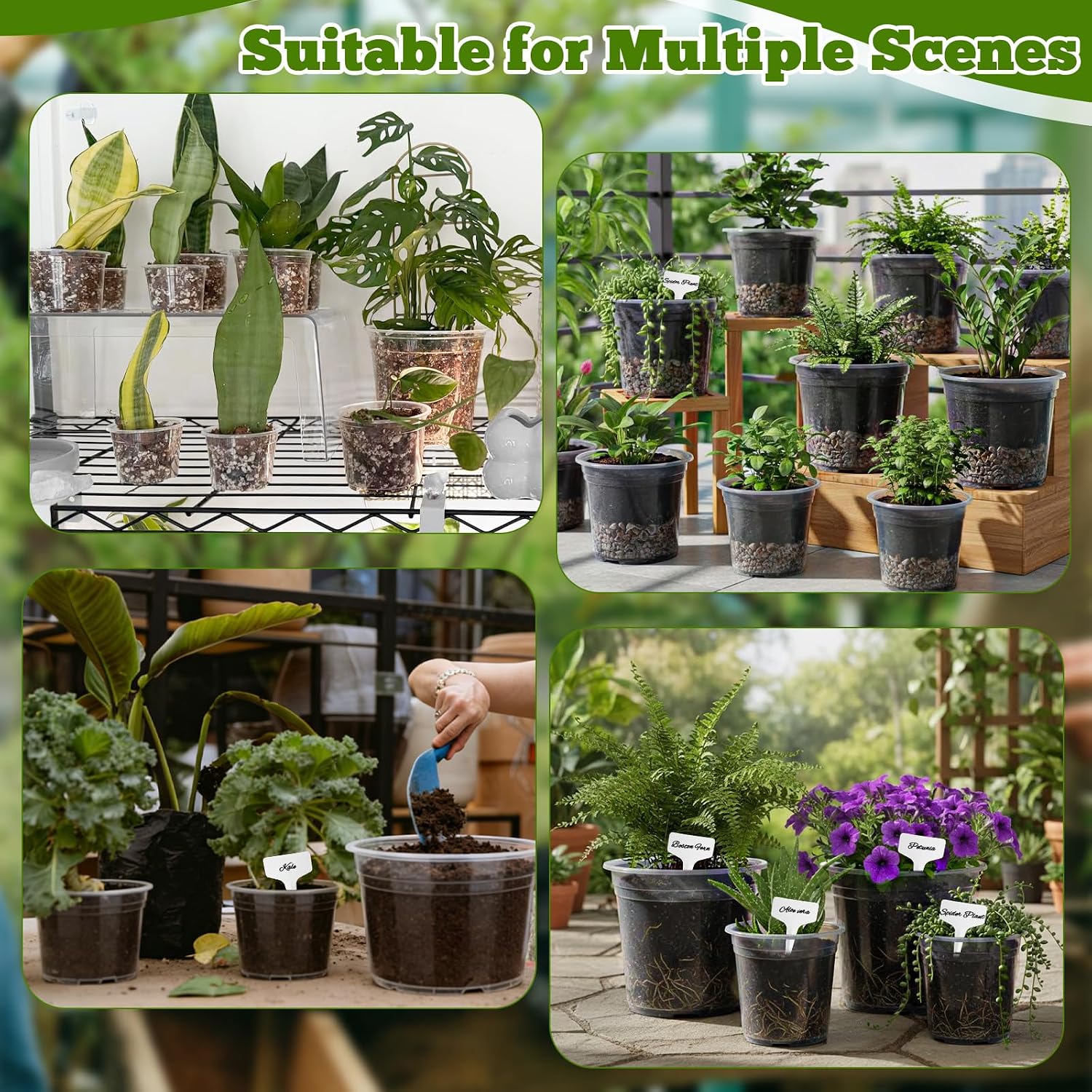 20 Pcs Clear Nursery Pots for Plant 4/6/7/10 Inch with Drainage Holes | Sturdy Transparent Plastic Planter Seedlings