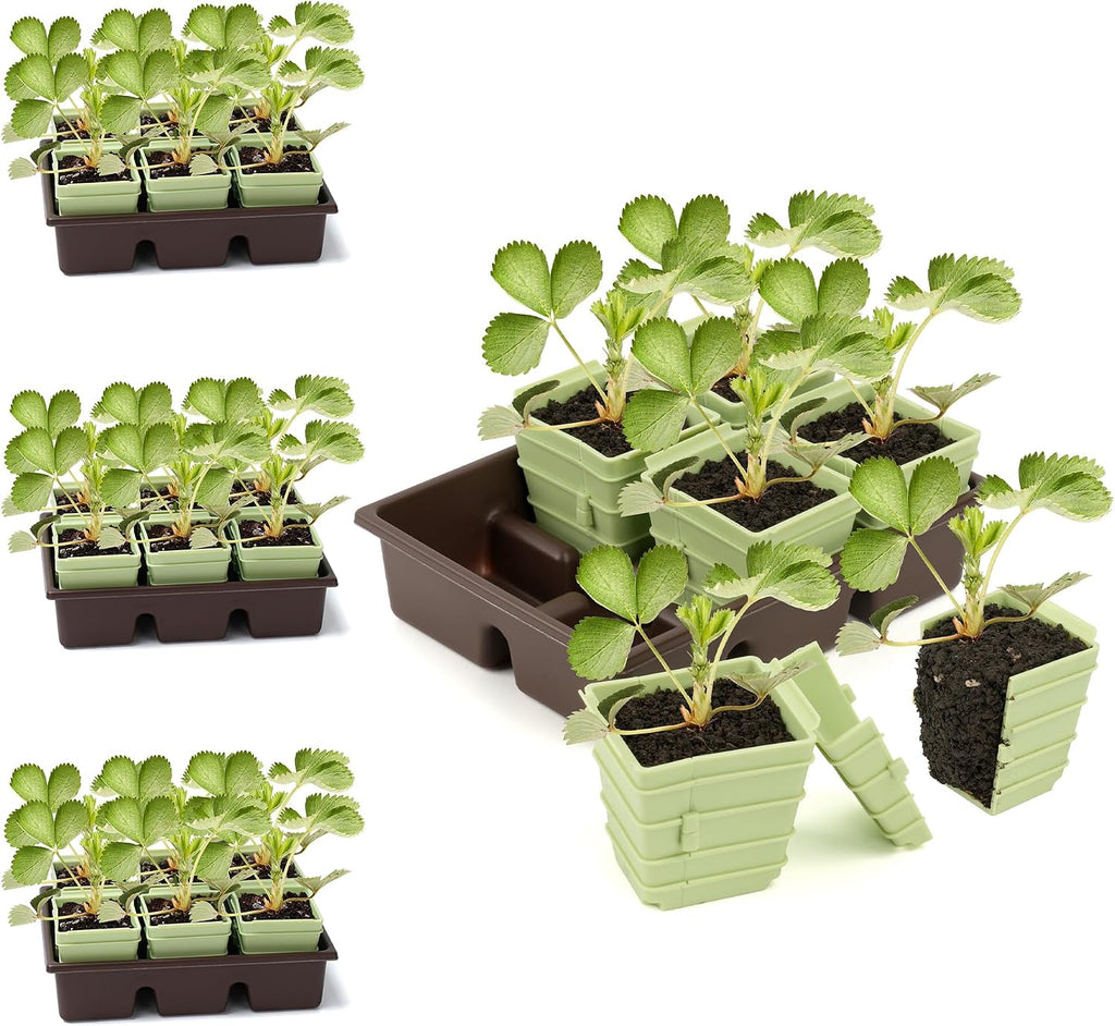 Side-Open Seed Starter Tray 4-Pack, 24 Cells Modular Design with Detachable Plant Cells, Extra-Large 2.36"x2.28" Cells