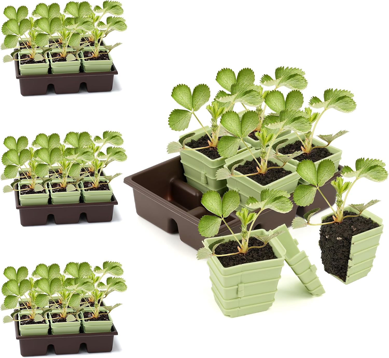 Side-Open Seed Starter Tray 4-Pack, 24 Cells Modular Design with Detachable Plant Cells, Extra-Large 2.36"x2.28" Cells