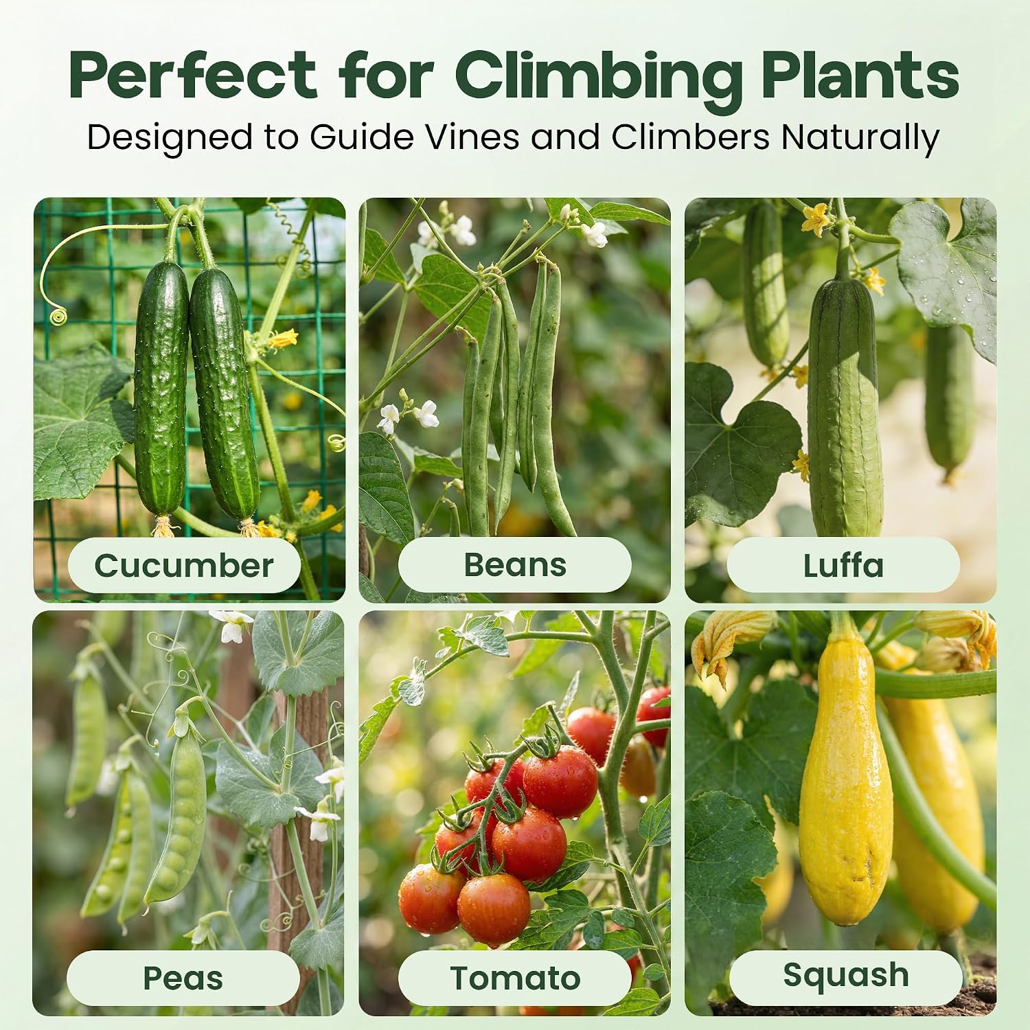 48x48 Cucumber Trellis for Raised Bed - U Shape Vegetable Garden Trellis for Climbing Plants Outdoor - Support for