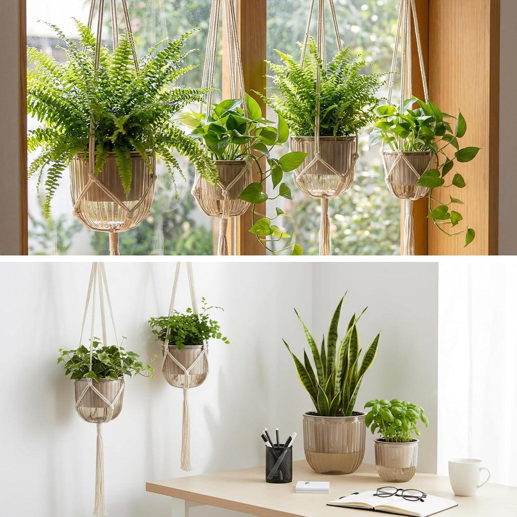 Hanging Planter Set of 6 Self Watering Indoor Flower Pots with Water Level Indicator Modern Plant Hangers for Indoor
