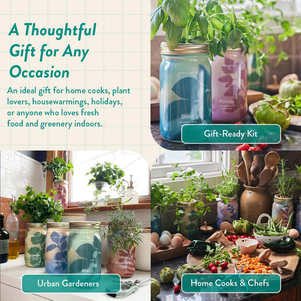Modern Sprout Mason Jar+Replant Kit- Self-Watering Hydroponics System-Basil | Growing System Kit w/Organic Herb Seeds