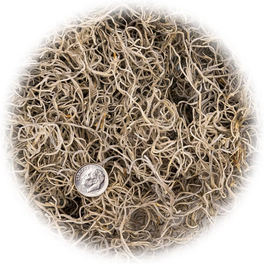 Premium Natural Spanish Moss | Natural Preserved - Great Ground Cover - Filler for Potted Plants - by GARDENERA - 5