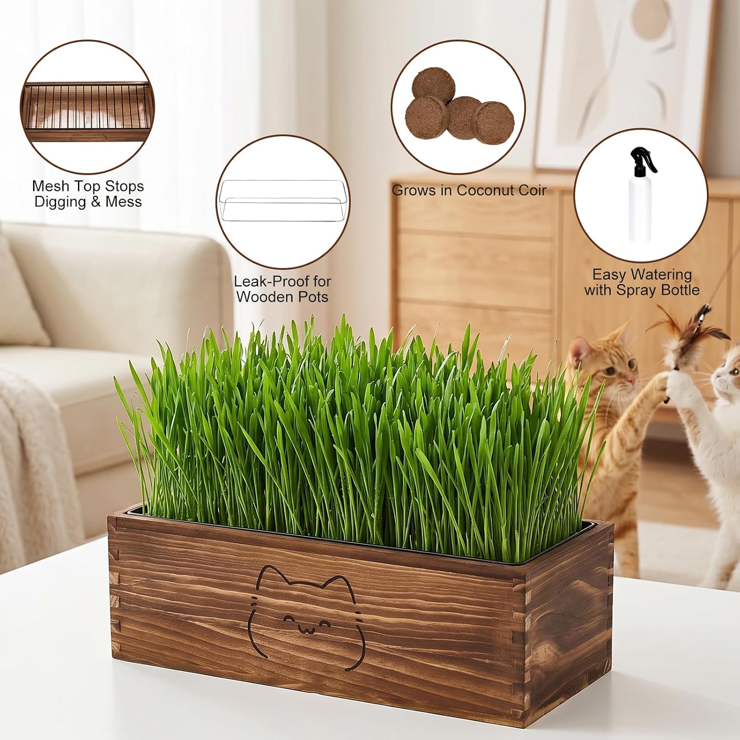 Wooden Cat Grass Planter (no Seeds Included),Cat Grass Kit for Indoor Cats with Anti-Digging Grid, Potting Soil