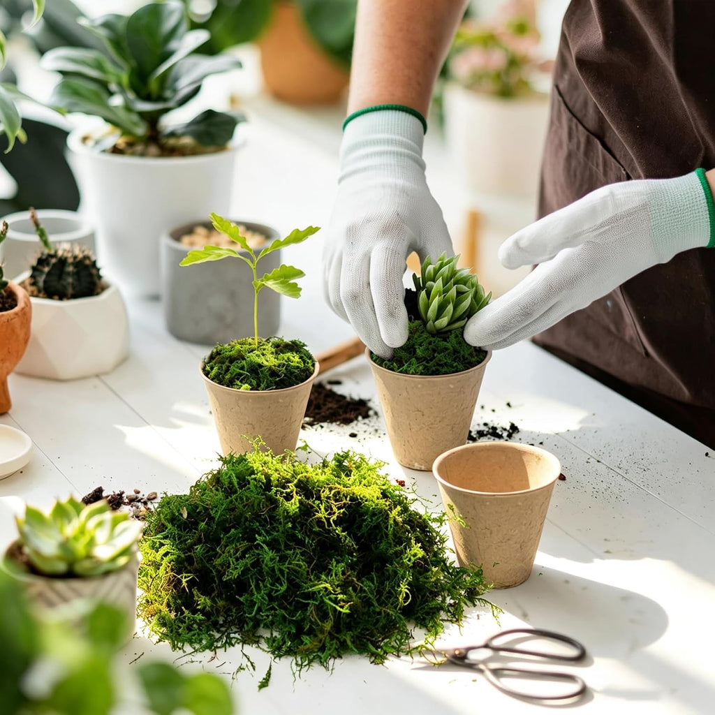 2.25LBS Artificial Fake Green Moss for Crafts Plants Indoor | Includes Gloves Tweezers， Dust Mask, Faux Moss for Potted