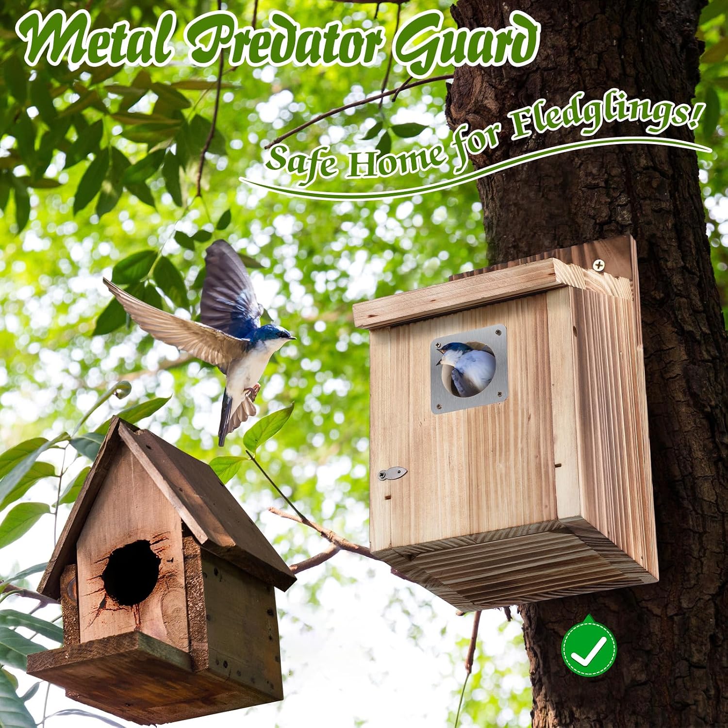 Dreyoo Bluebird Houses for Outside, 1-1/2” Entrance Hole Wooden Bird Houses for Outdoor with Metal Predator Guard