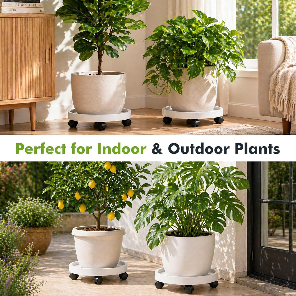 5 Pack Plant Caddy with Wheels Rolling Plant Stand with Wheels 10 Inch Plant Dolly Heavy Duty Large Potted Plant Mover