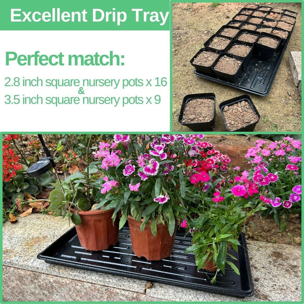 1020 Tray Shallow 10" x 20" Nursery Flat Trays No Holes 1.4" Height, Holding 72-Cell Plug Seedling Trays, Ideal for