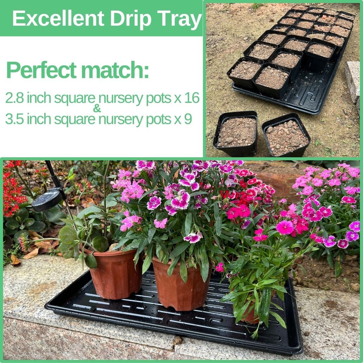 1020 Tray Shallow 10" x 20" Nursery Flat Trays No Holes 1.4" Height, Holding 72-Cell Plug Seedling Trays, Ideal for