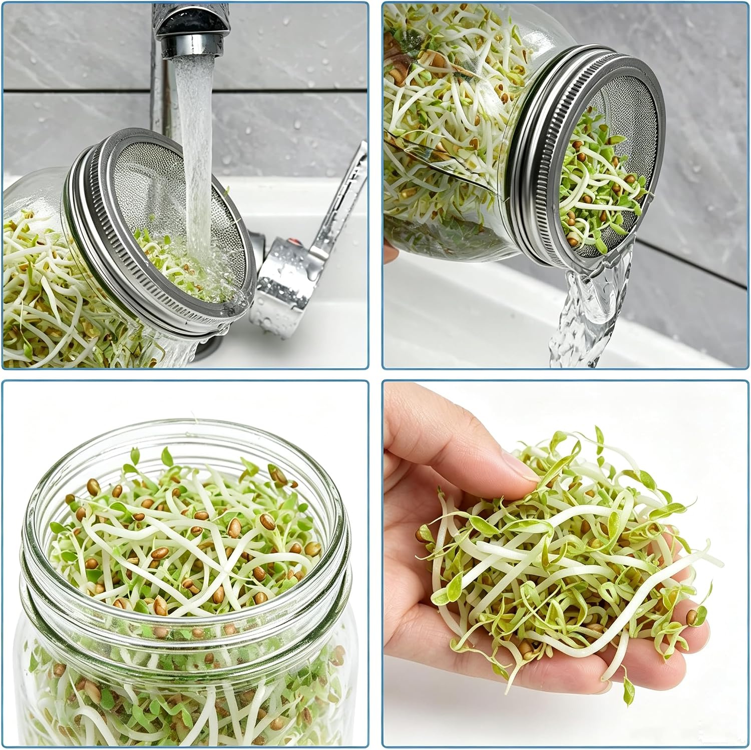 Lulonpon 4 Sprouting Jar Kit, Wide Mouth Quart Mason Jars with Stainless Steel Screen Sprout Lids