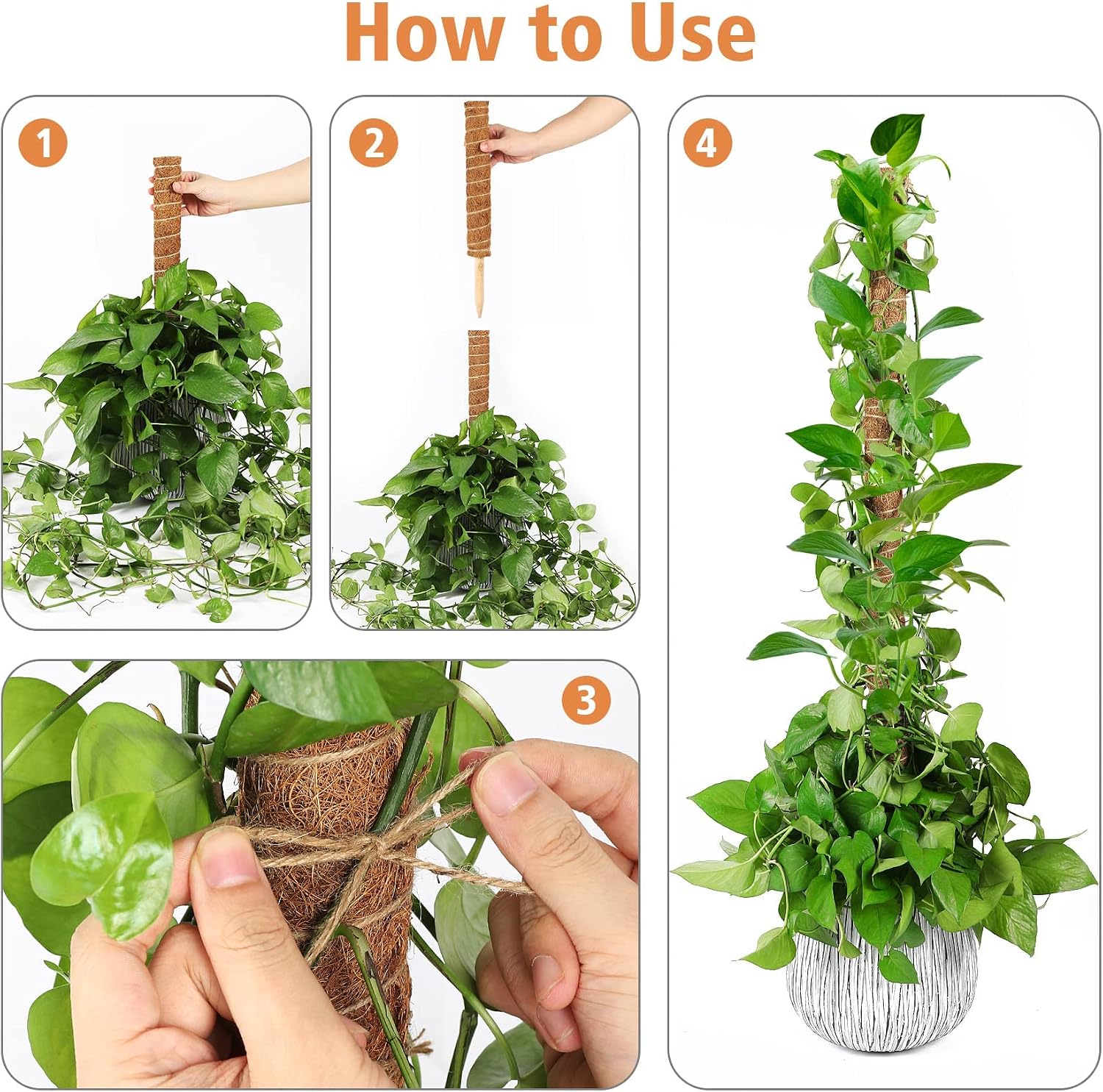 Moss Pole for Plants Monstera,【8 Pack】 23.6 inch Plant Support Pole, Extendable Coir Totem Pole for Potted Plants