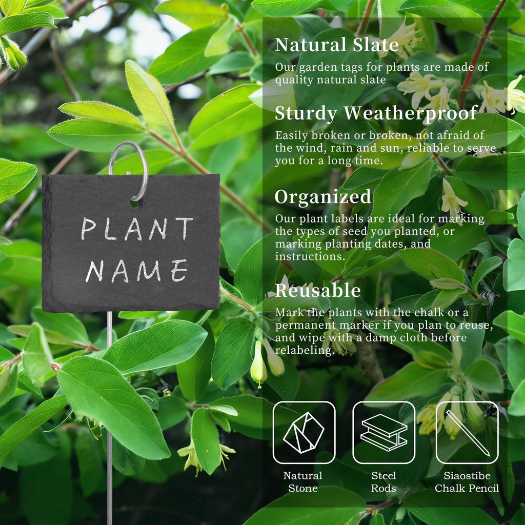 15 Pcs Slate Plant Labels with Chalk Pencils, Rectangular | Outdoor Garden Marker Label Signs, With Stakes, For Plants
