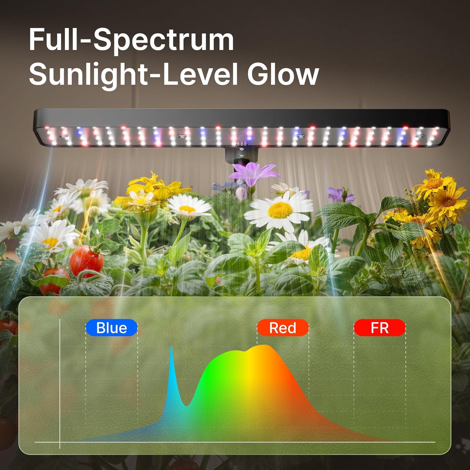 Hydroponics Growing System, Compact 12 Pods Indoor Garden, Black | 24W LED Dimmable Grow Light, 4L Water Tank with