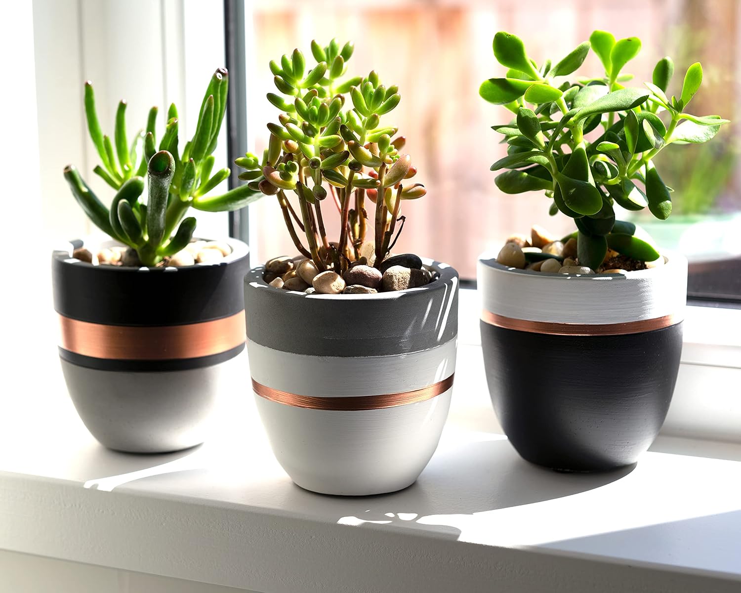 PASENITY Hand Painted Indoor Plant Pots, Set of 3 Modern Cement Succulent Pots with Drainage, Best Planters for Cactus