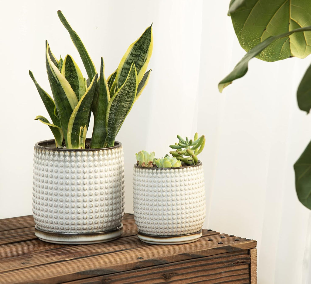 D'vine Dev Beaded Ceramic Planter Pots, 4/6 in, Smoked White, 27-D-U-1 | Embossed Dot Texture, with Drainage Hole and