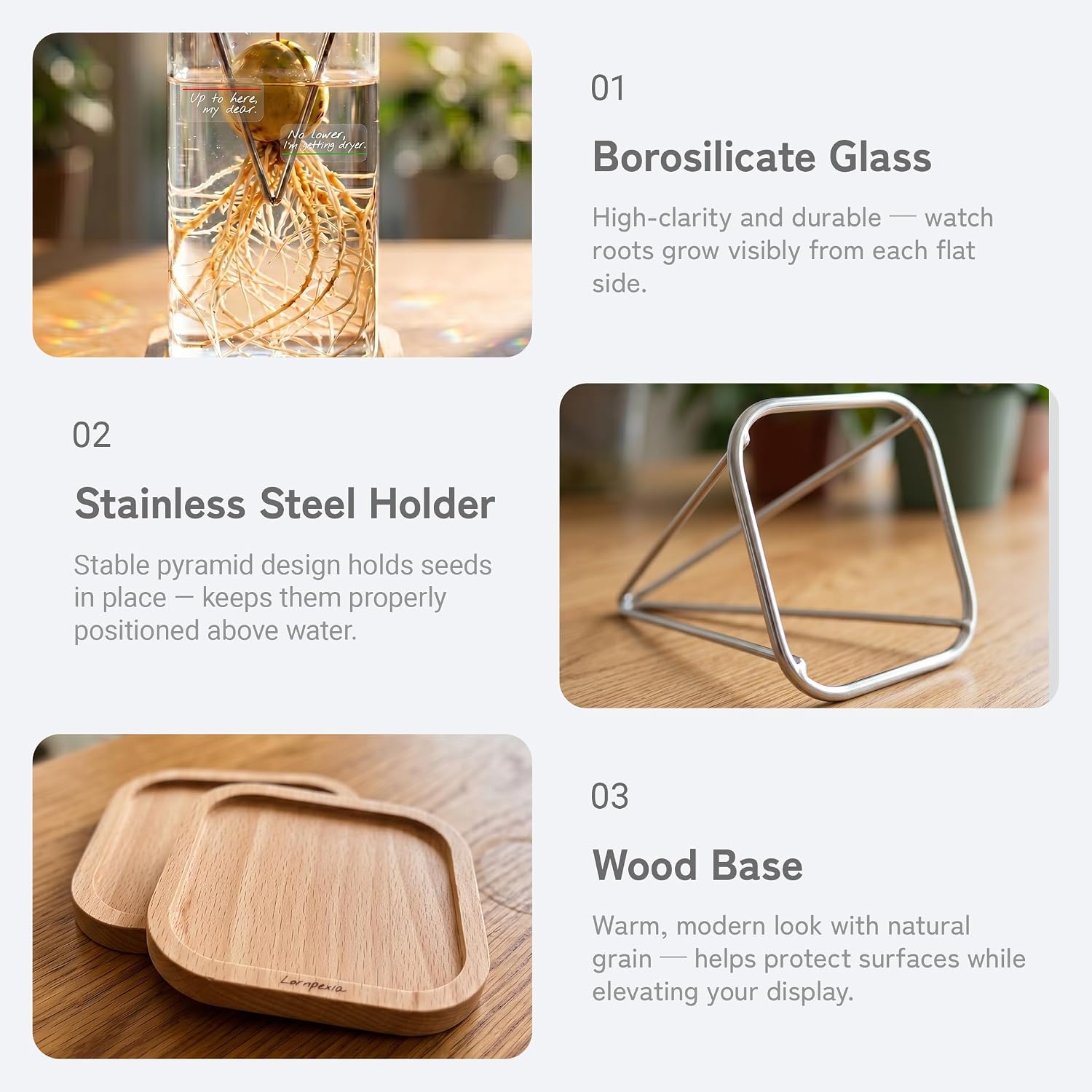 Avocado Seed Growing Kit, Set of 2 Glass Vases with Stainless Steel Holder & Wood Base, Avocado Growing Vase Hydroponic