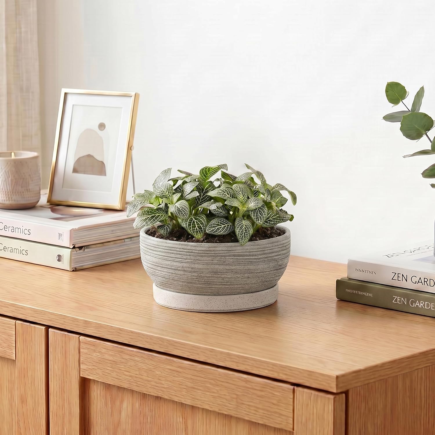 6 Inch Ceramic Succulent Planters with Saucer, Brushed Grey | Small Bonsai Tree Pots with Drainage Hole, Round Pots for