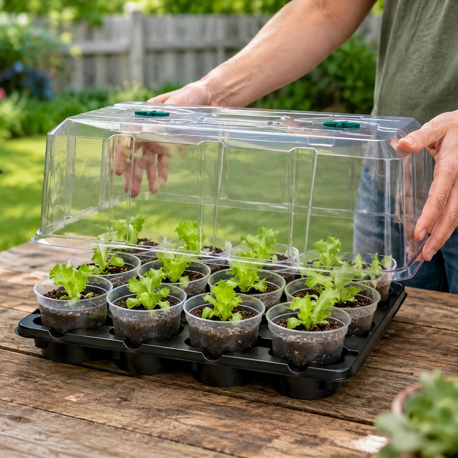 4 Inch Seed Starter Trays 2 Pack with Humidity Dome | 12-Cell Seedling Starter Trays, Plant Starter Germination Trays