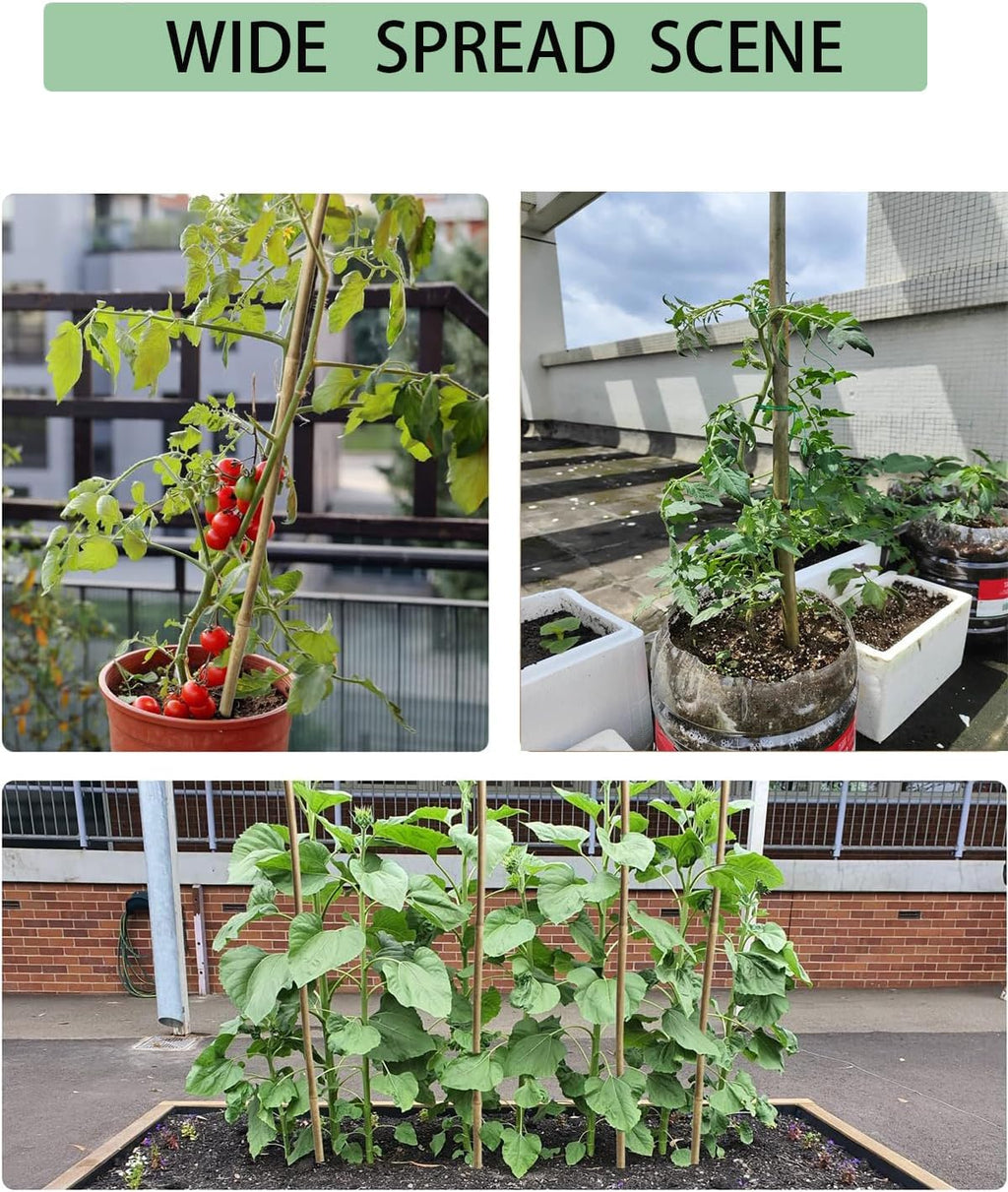 4 Ft Bamboo Stakes with 100 Twist Ties Natural Bamboo Garden Stakes for Tomatoes Cucumber Grapes Pole Beans Trees
