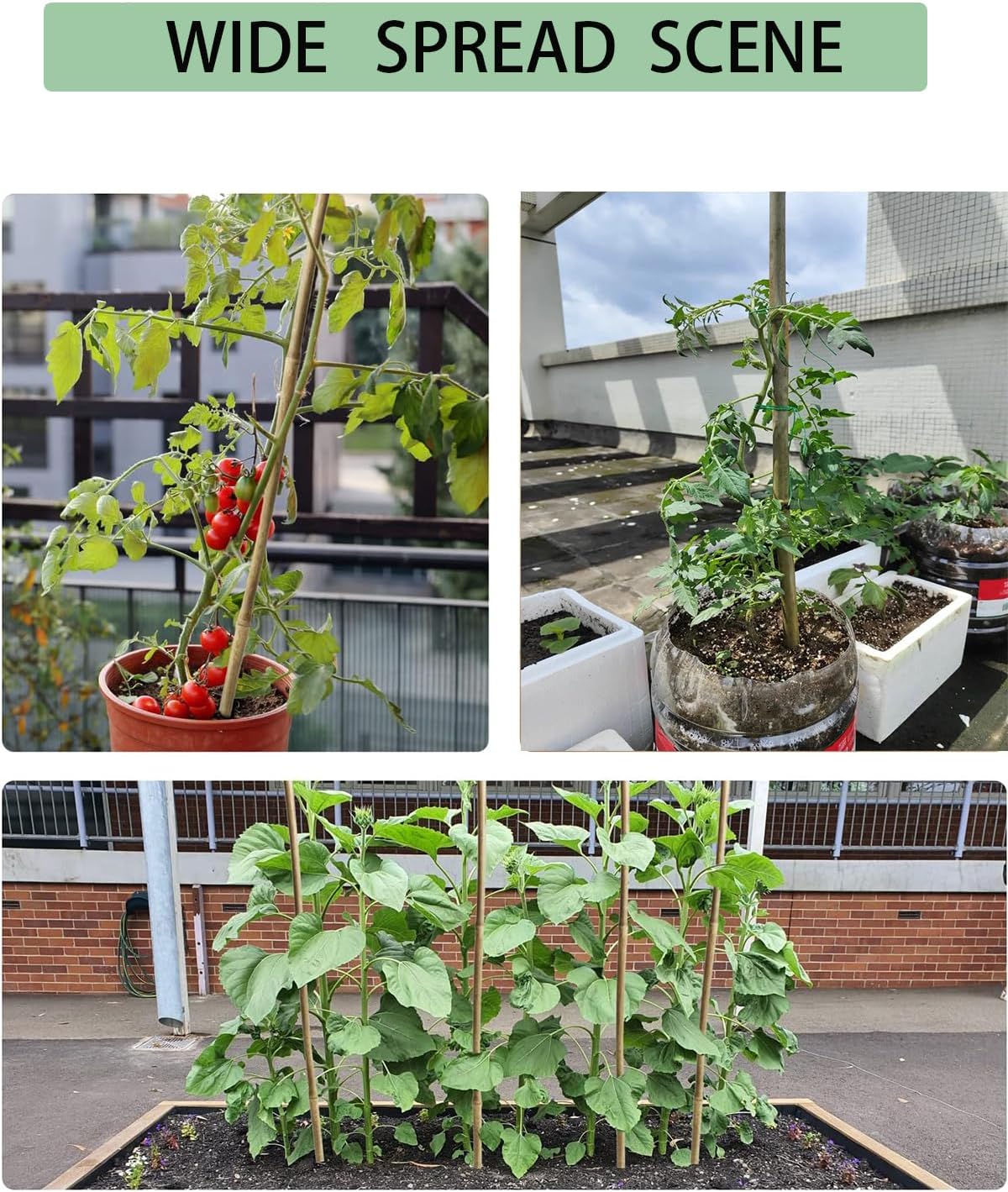4 Ft Bamboo Stakes with 100 Twist Ties Natural Bamboo Garden Stakes for Tomatoes Cucumber Grapes Pole Beans Trees