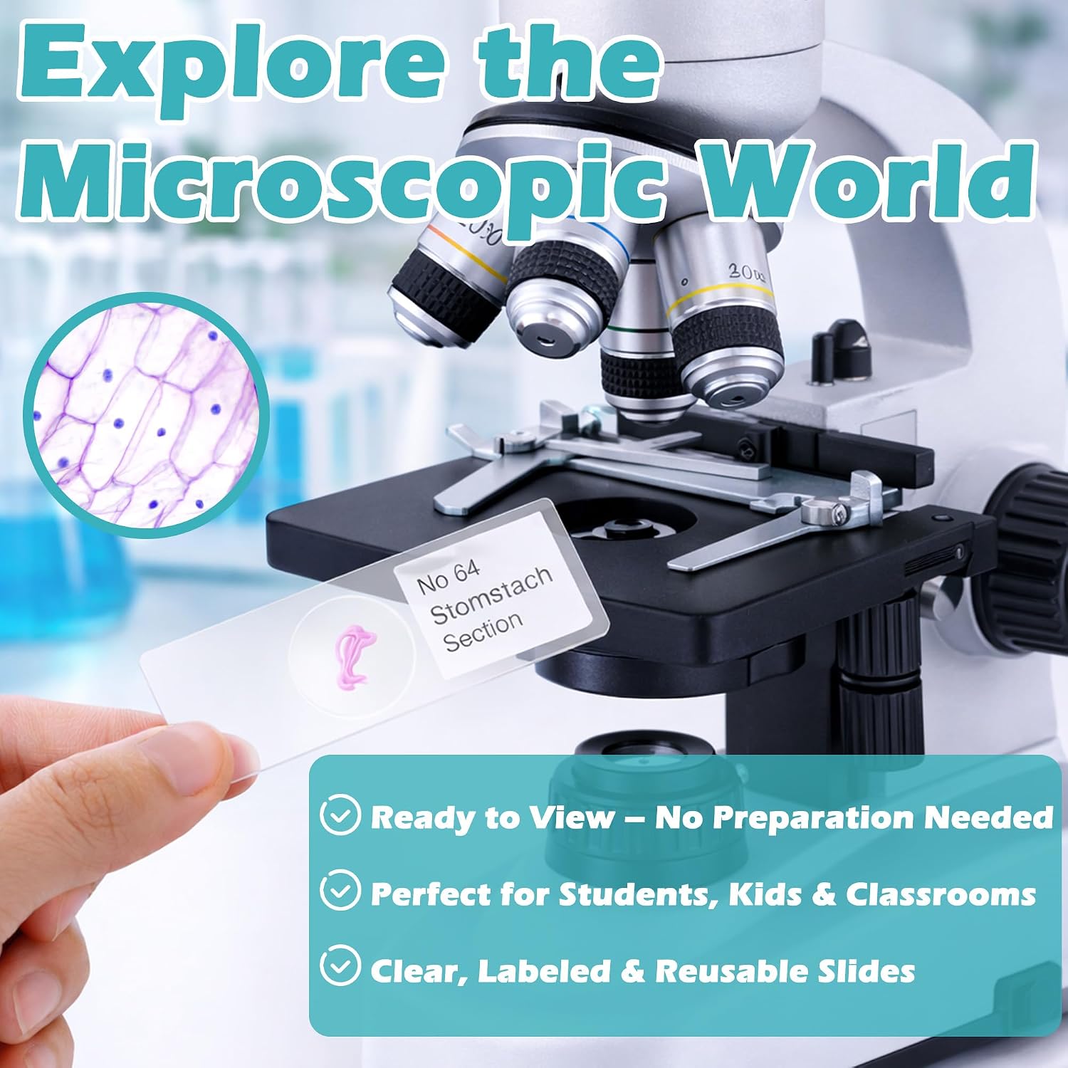 200 Packs Microscope Slides, 100 Plants & 100 Animal Tissues Includes Labels and Case for Biological Science Education
