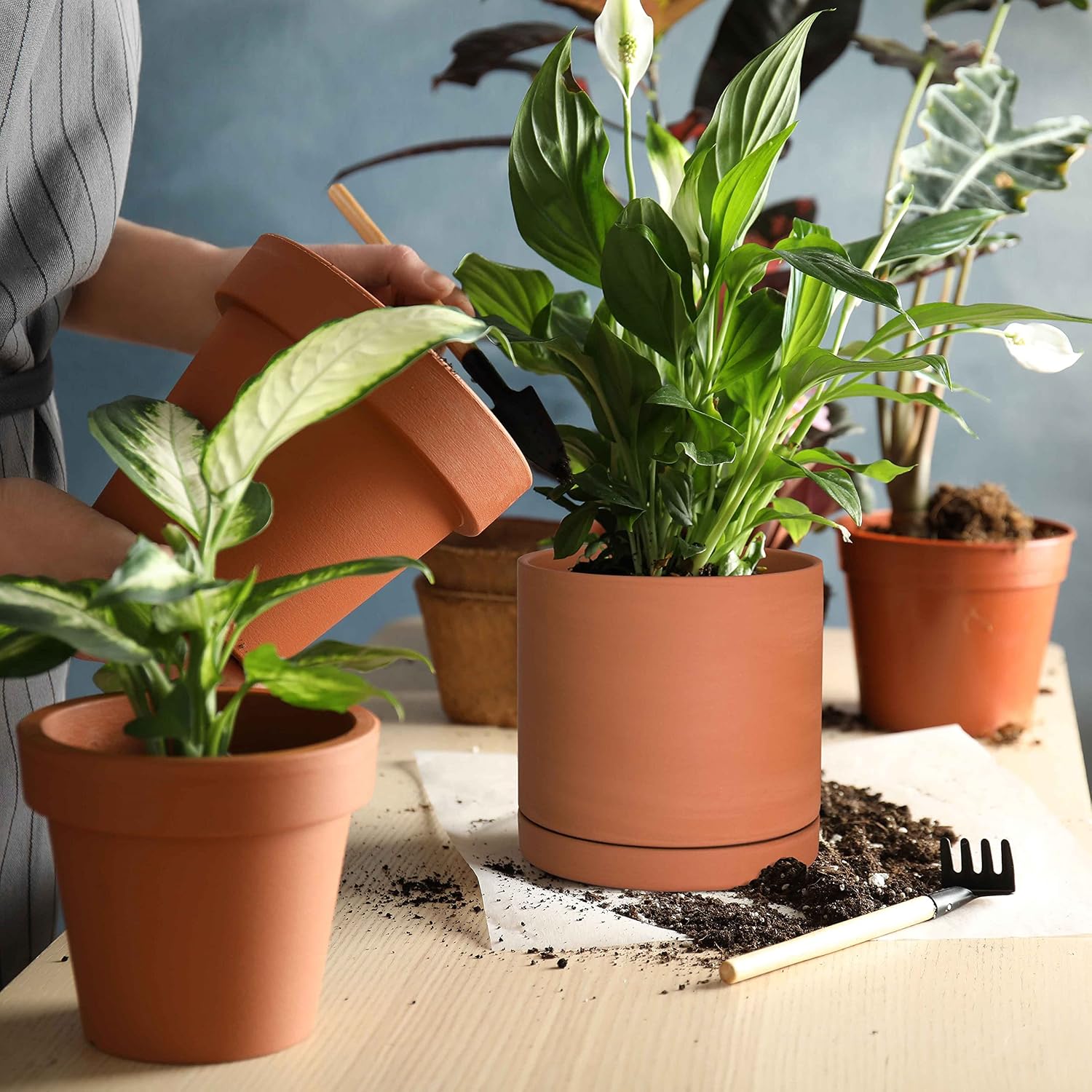 D'vine Dev Terracotta Plant Pot with Saucer, 6 Inch, 40-X-A-3 | Cylinder Shape, Timeless Style, Unglazed Terracotta