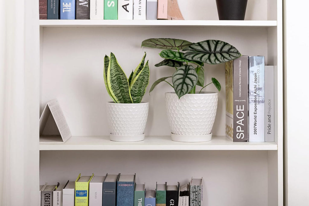 Docrin Ceramic Plant Pots Set of 2 (6.6"+5.5"), High-Fired Clay Indoor Planters with Drainage Holes & Saucer, Honeycomb