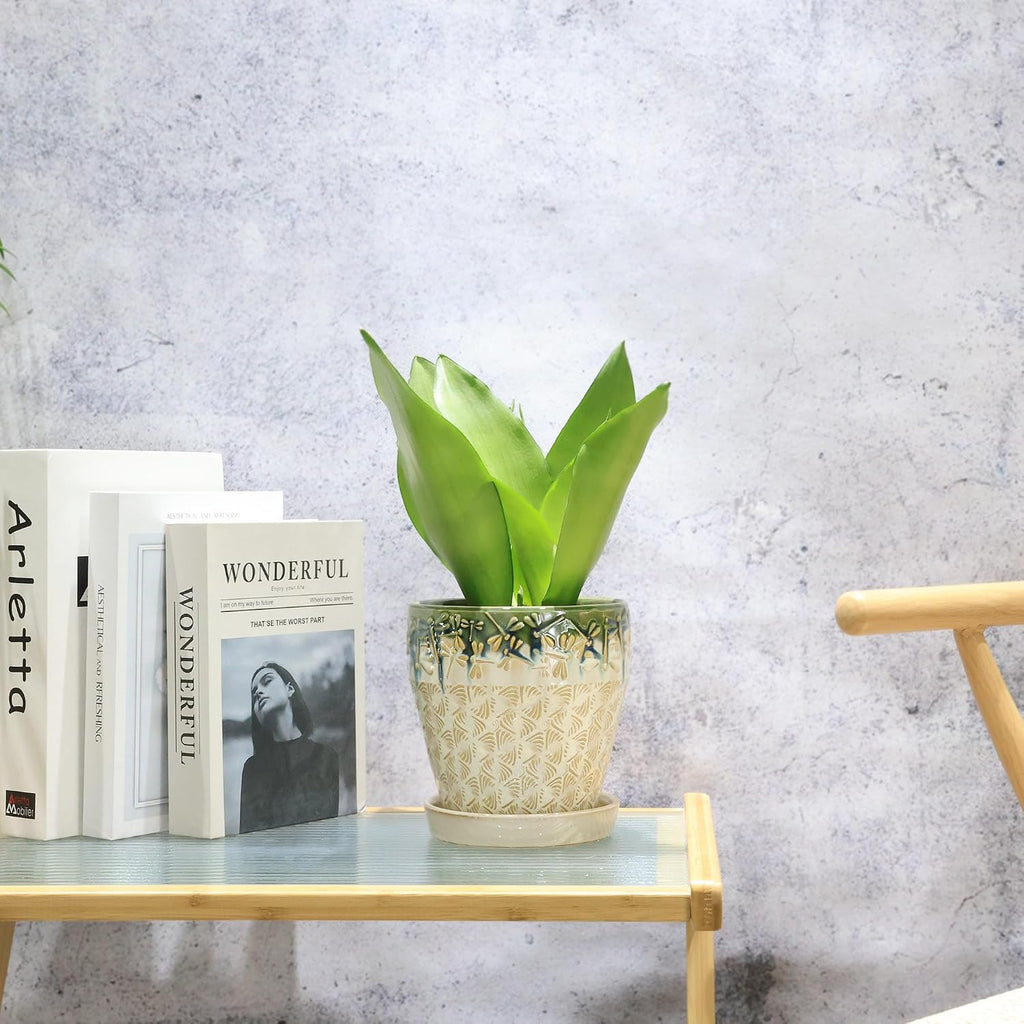 Ceramic Planter Pots for Indoor Plants, 8Inch + 6 Inch Plant Pot with Drainage Holes, Saucers and Mesh Pads, Succulent