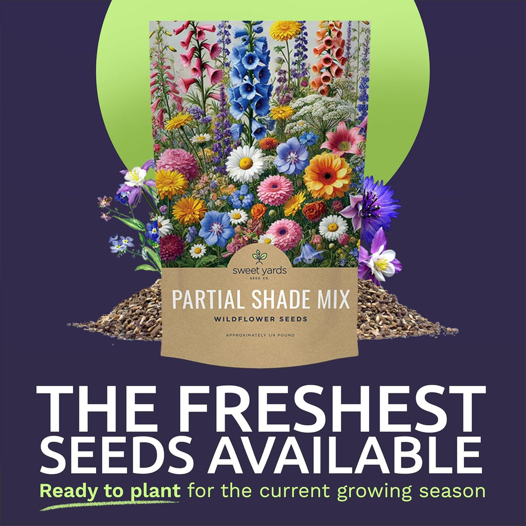 Bulk Wildflower Seeds Partial Shade Mix - 1/4 Pound Bag Over 30,000 Open Pollinated Annual and Perennial Seeds