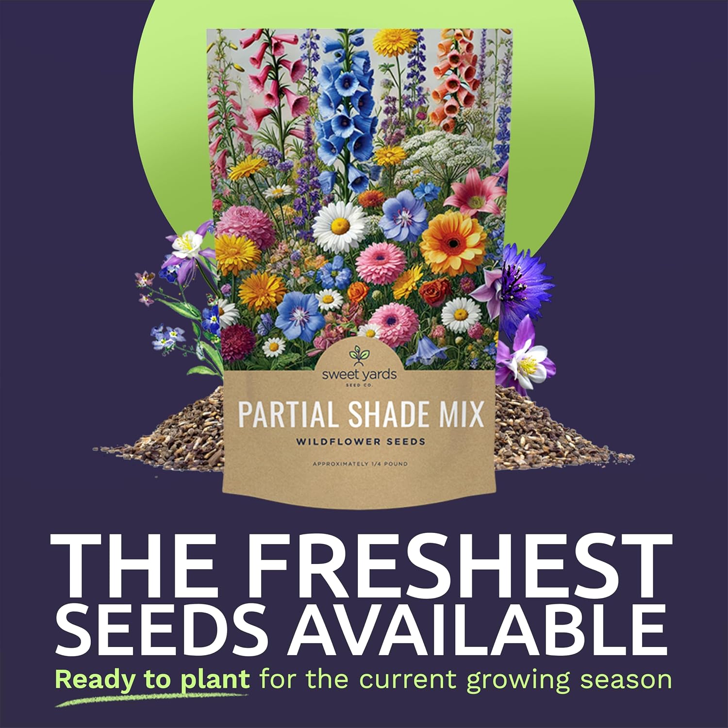 Bulk Wildflower Seeds Partial Shade Mix - 1/4 Pound Bag Over 30,000 Open Pollinated Annual and Perennial Seeds