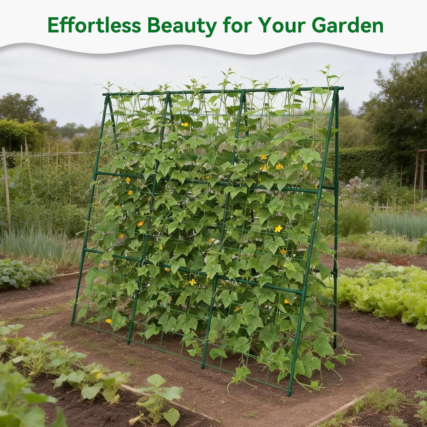 Cucumber Trellis - 49.4"*49.4" Metal Garden Trellis for Climbing Plants, Garden Trellis with Plastic-Coated Steel Pipe