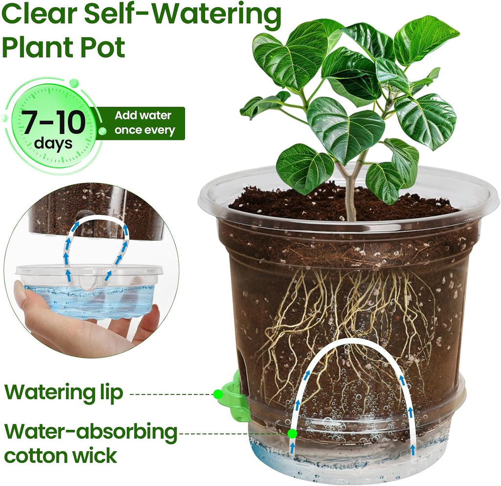 MIXC 18 Pack 6.5/5/4 Inch Self Watering Pots for Indoor Plants-Clear | Plastic, With Drainage Holes & Deep Reservoirs